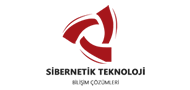 Sibernetik Teknoloji